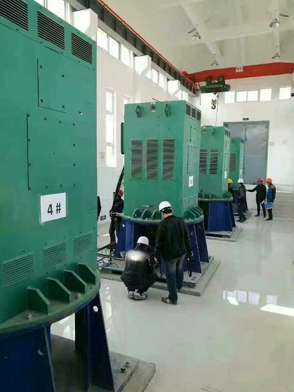 东辽某污水处理厂使用我厂的立式高压电机安装现场